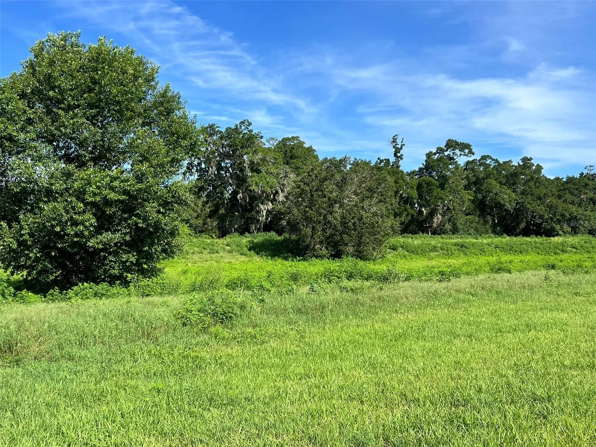 0 SE 8th Avenue Ocala FL 34480