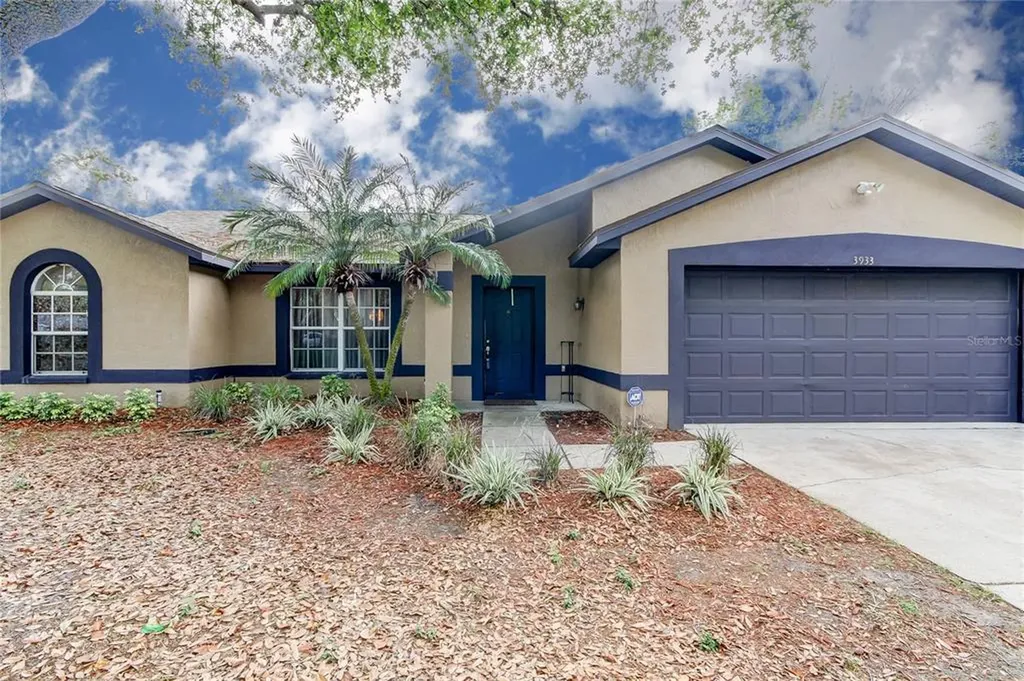 3933 Erne Street Palm Harbor FL 34683