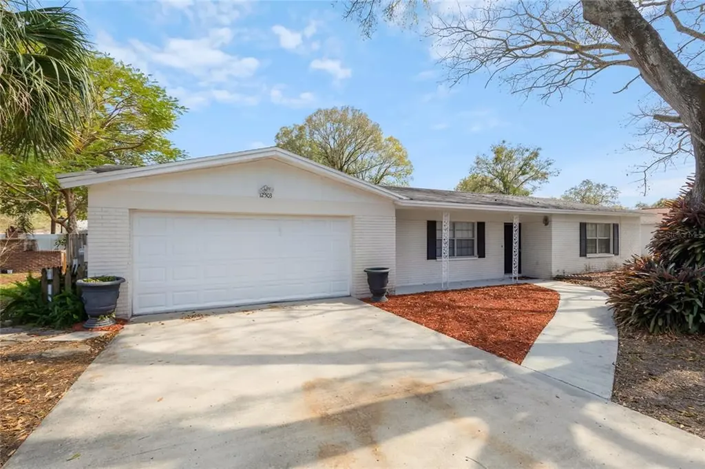 12503 Paddock Avenue Tampa FL 33618