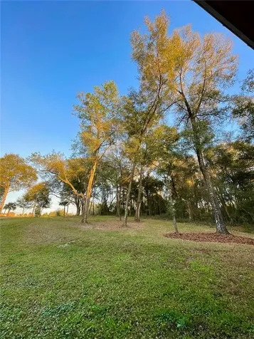 1596 Bear Paw Lane Deland FL 32720