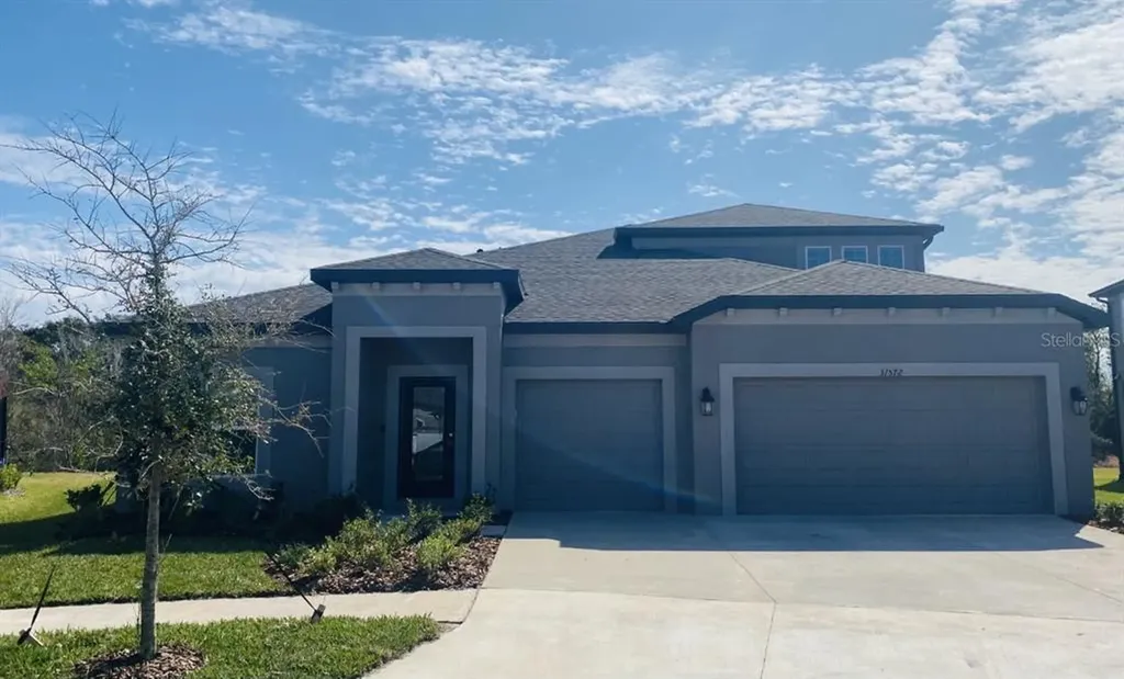 31572 Colada Drift Way Wesley Chapel FL 33545
