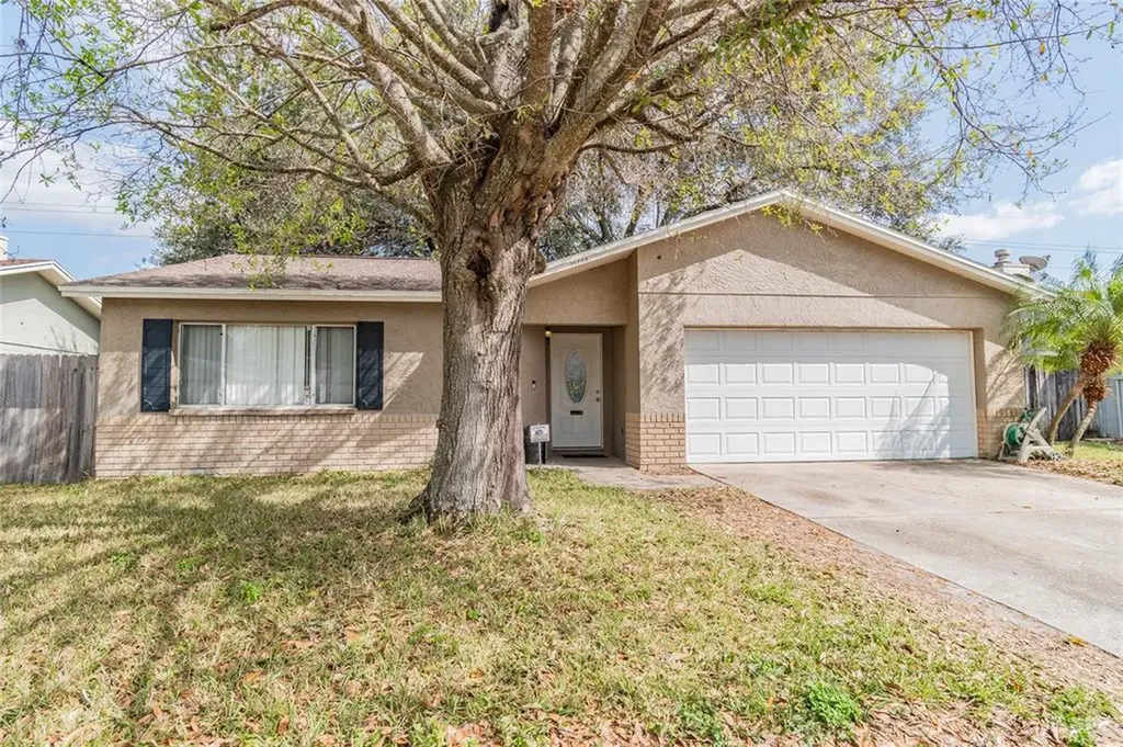 11705 Cypress Park Street Tampa FL 33624