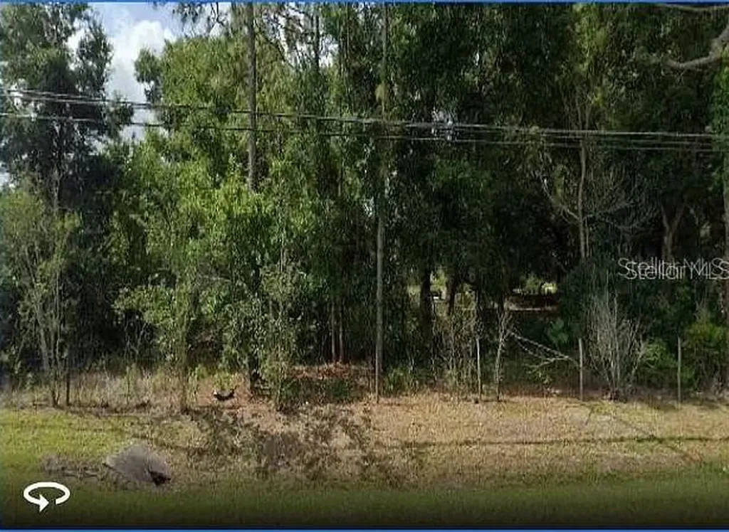 10336 Buck Road Orlando FL 32817