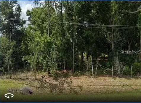 10336 Buck Road Orlando FL 32817