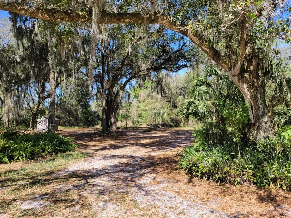 3804 Medulla Road Plant City FL 33566