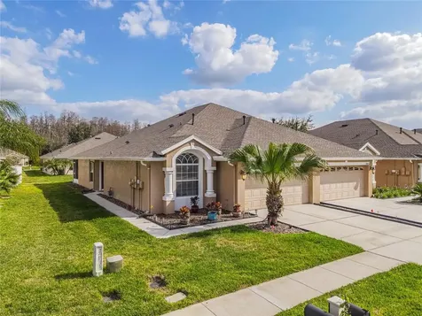 2822 Torrance Drive Land O Lakes FL 34638