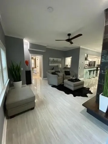 161 S Rhodes Street Mount Dora FL 32757