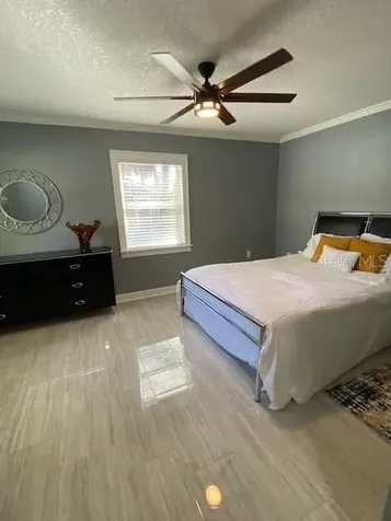 161 S Rhodes Street Mount Dora FL 32757
