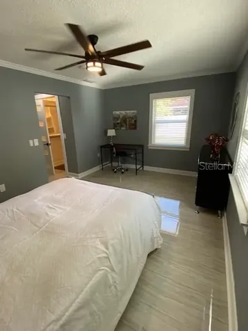 161 S Rhodes Street Mount Dora FL 32757