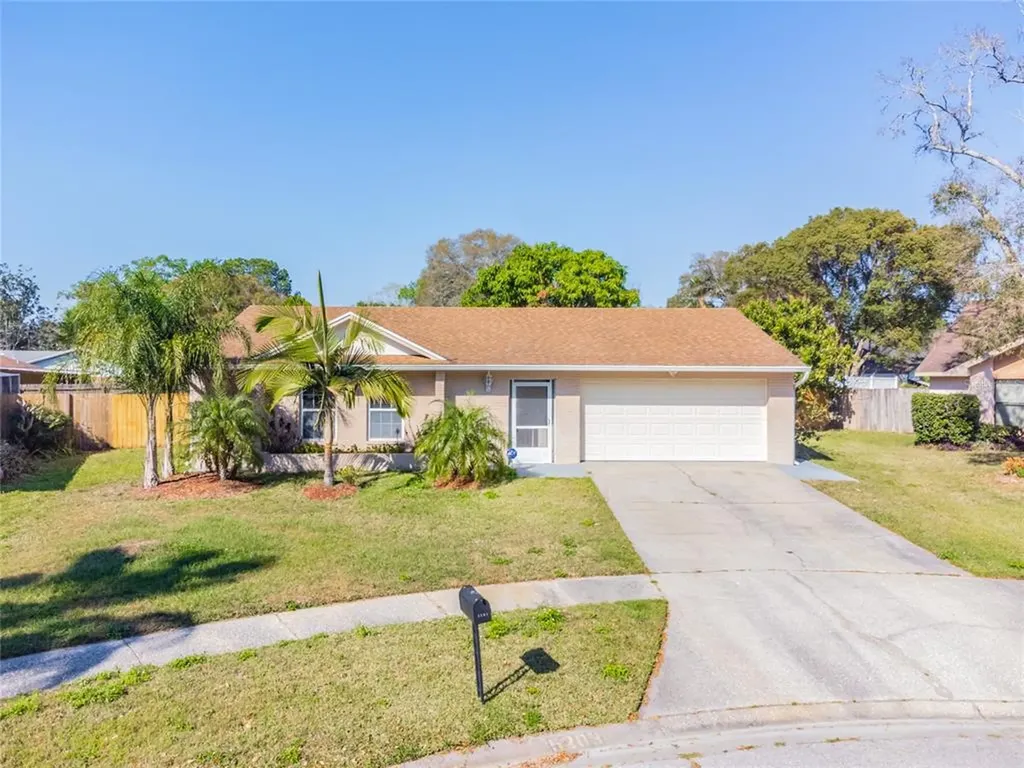 5203 Dublin Place Tampa FL 33624