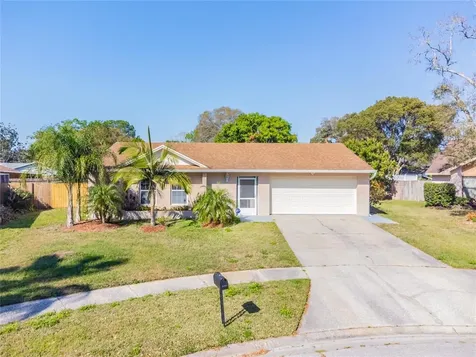 5203 Dublin Place Tampa FL 33624