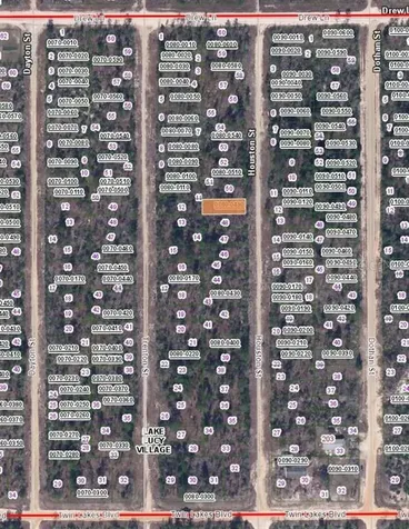 00 Houston Street Interlachen FL 32148