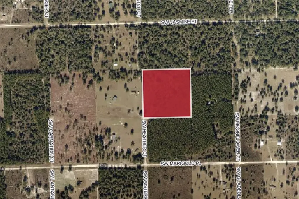 231 SW Heather Court Fort White FL 32038