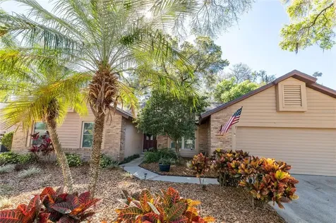 506 Sportsman Park Drive Seffner FL 33584