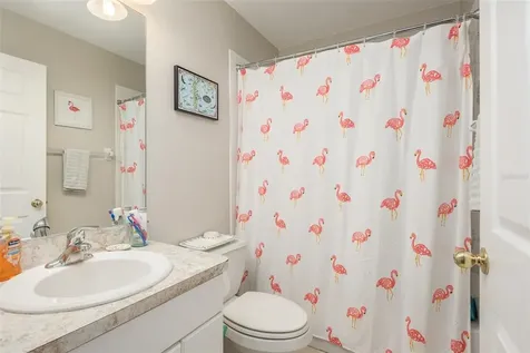 506 Oceanview Avenue Palm Harbor FL 34683