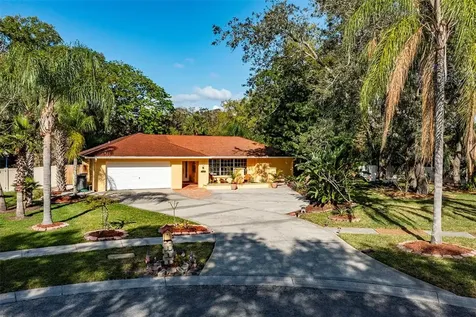 10905 Bent Tree Place Tampa FL 33618