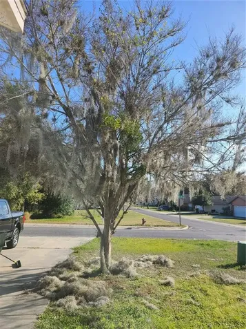 908 E Magnolia Street Leesburg FL 34748