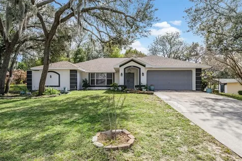 2550 Running Oak Court Spring Hill FL 34608