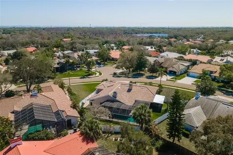 1811 Weatherstone Drive Safety Harbor FL 34695