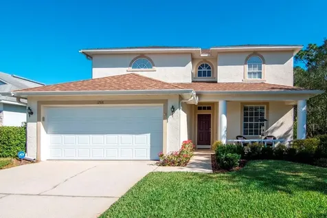 12531 Deerberry Lane Tampa FL 33626