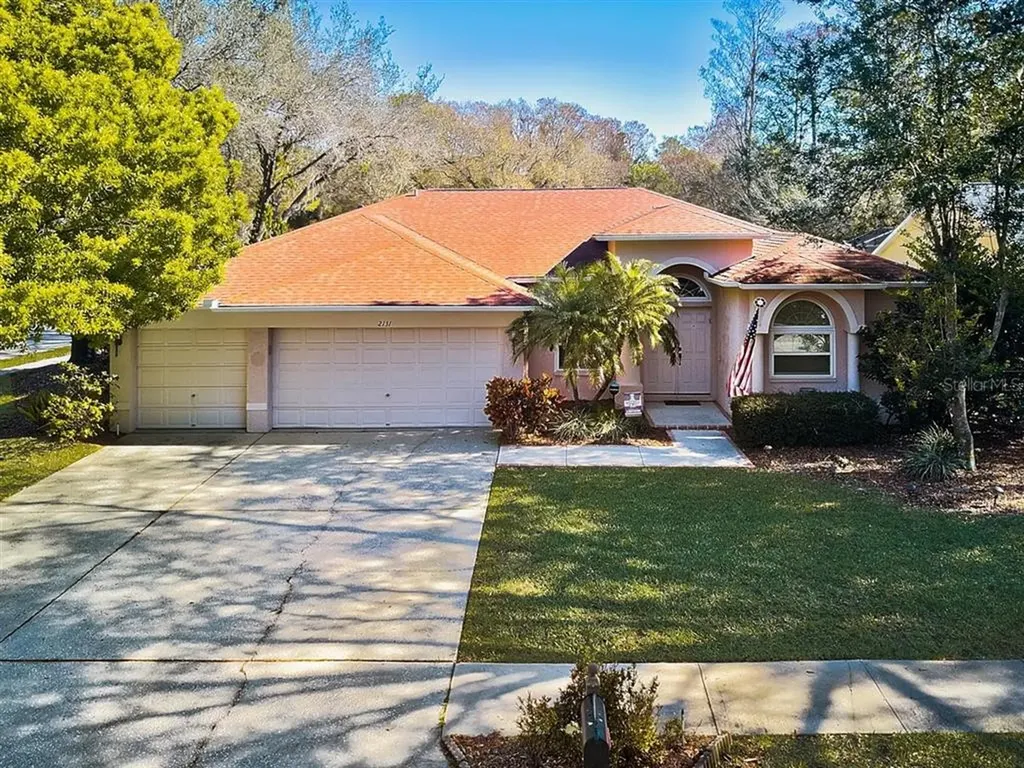 2131 Otter Way Palm Harbor FL 34685