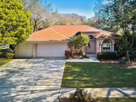 2131 Otter Way Palm Harbor FL 34685