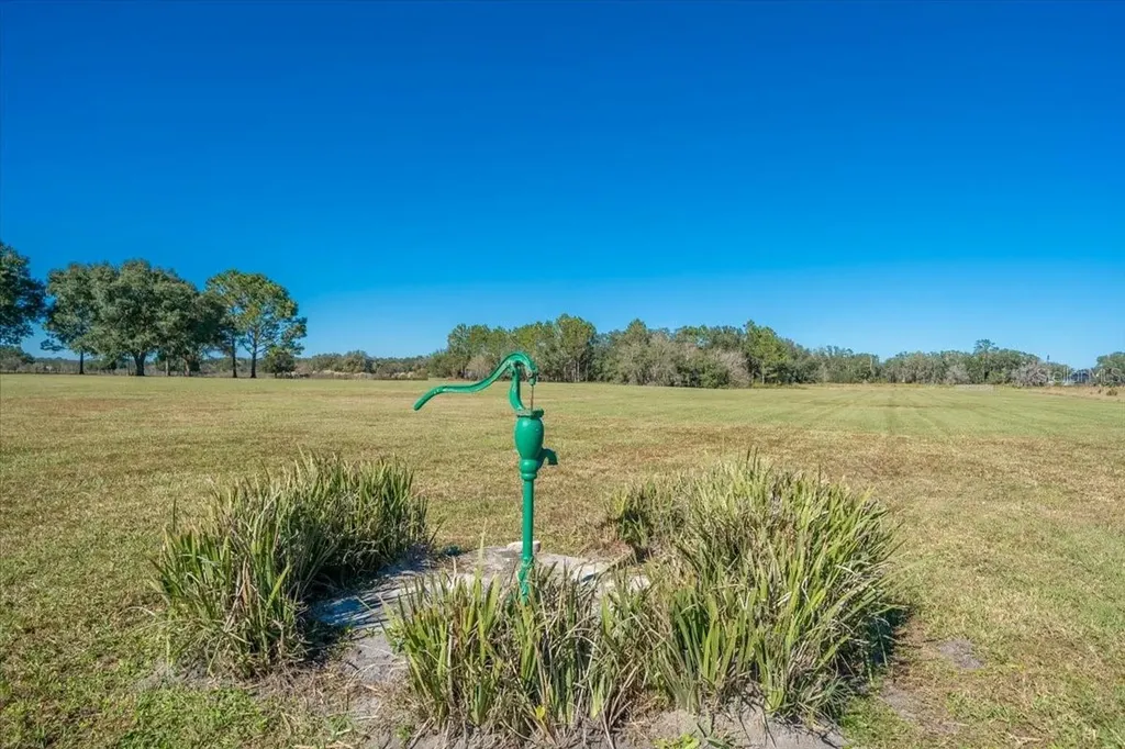 31935 County Road 52 San Antonio FL 33576
