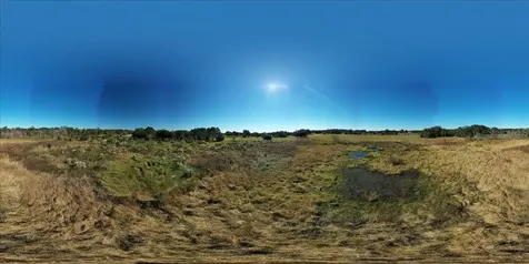 31935 County Road 52 San Antonio FL 33576