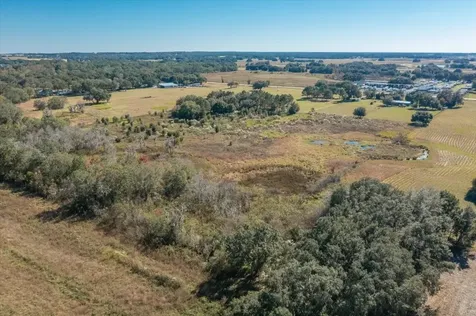 31935 County Road 52 San Antonio FL 33576