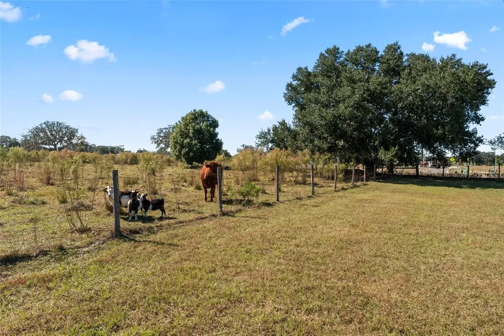 0 County Road 52 San Antonio FL 33576
