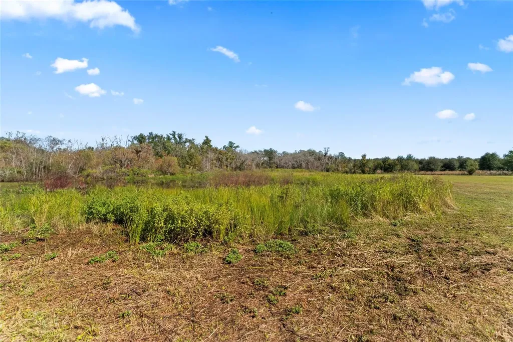 0 County Road 52 San Antonio FL 33576