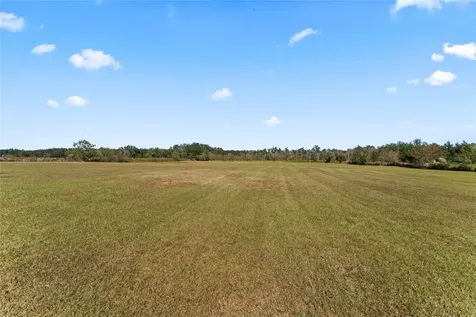 0 County Road 52 San Antonio FL 33576