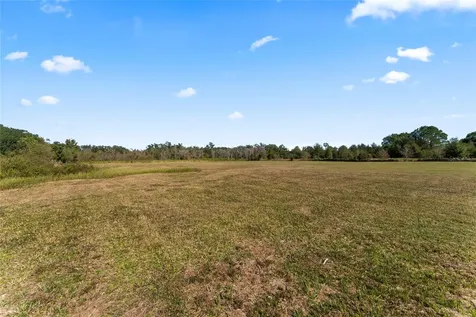0 County Road 52 San Antonio FL 33576