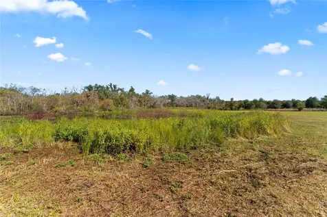 0 County Road 52 San Antonio FL 33576