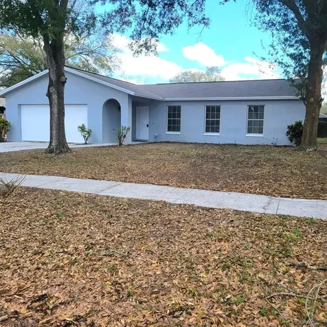 14009 Cherry Lake Drive Tampa FL 33618