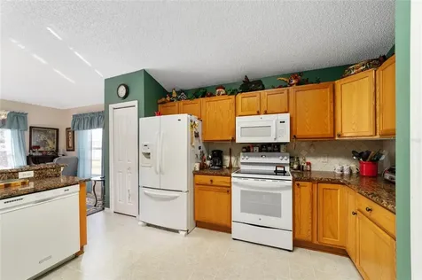 3164 Gooding Place The Villages FL 32162