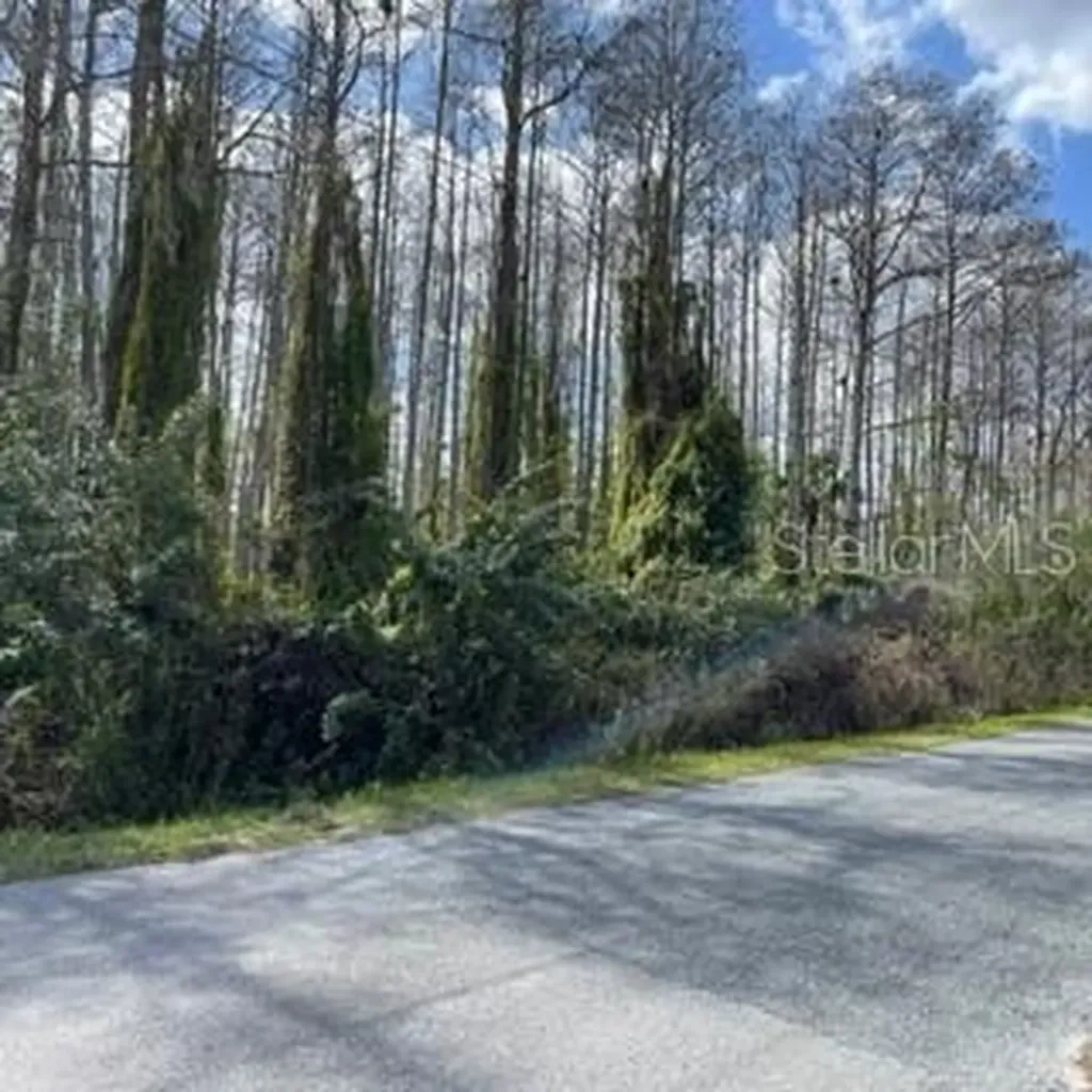 Richmond Road St Cloud FL 34773