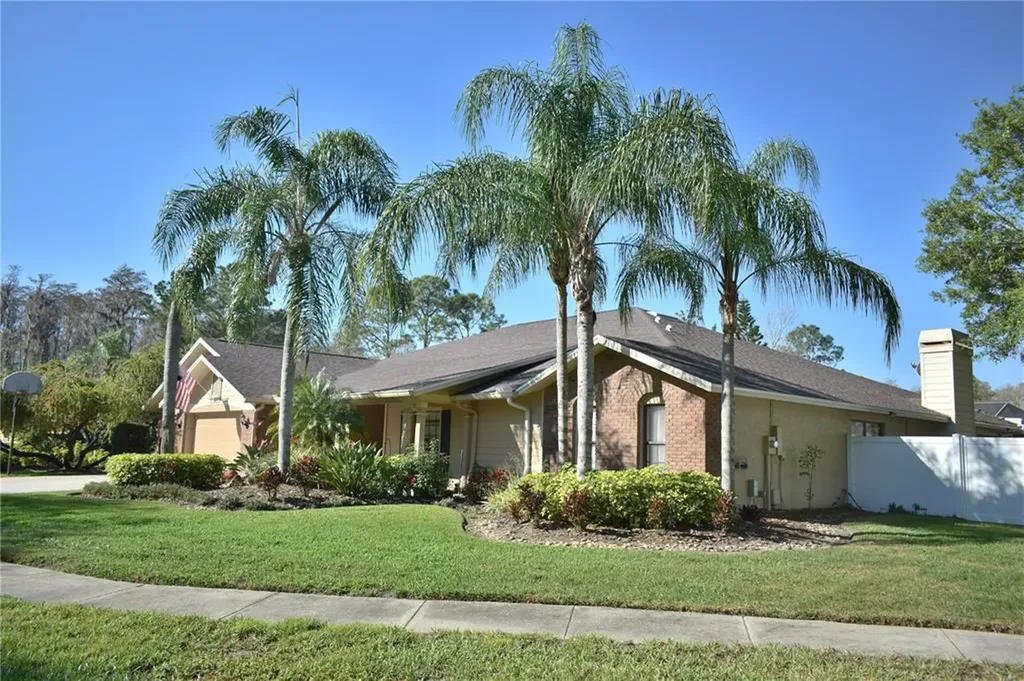 14802 Dunstan Place Tampa FL 33618