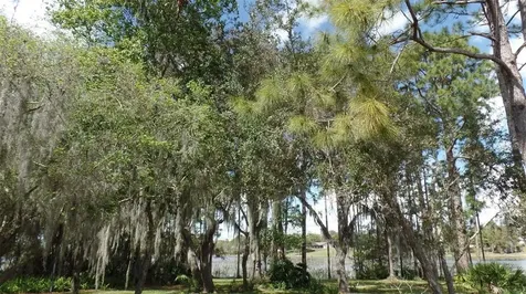 2104 Golden Arm Road Deltona FL 32738