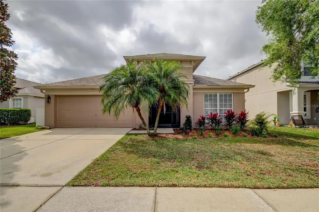 30442 Annadale Drive Wesley Chapel FL 33545