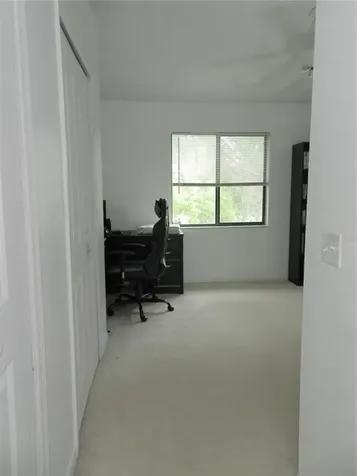 2803 Thaxton Drive Palm Harbor FL 34684