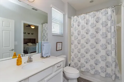 1184 Merion Drive Mount Dora FL 32757