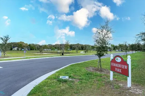1184 Merion Drive Mount Dora FL 32757