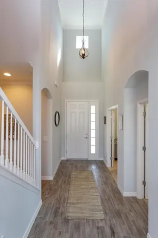 1184 Merion Drive Mount Dora FL 32757