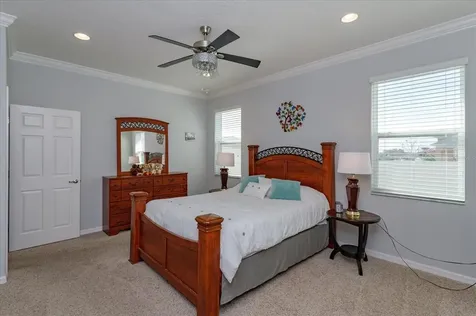 1184 Merion Drive Mount Dora FL 32757