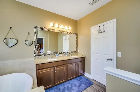 21542 Southern Charm Drive Land O Lakes FL 34637