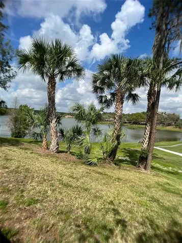14639 Pine Glen Circle Lutz FL 33559