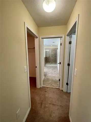 13184 Royal Pines Avenue Riverview FL 33579