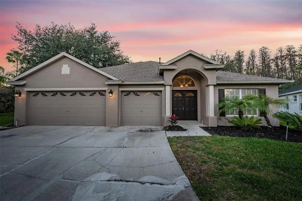 19611 Ellendale Drive Land O Lakes FL 34638