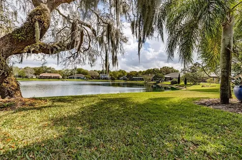 8902 Eagle Watch Drive Riverview FL 33578
